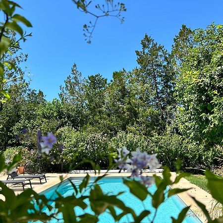 Provenzalisches Landhaus Les Martinets Am Fusse Des Mont Ventoux Villes-sur-Auzon Exteriör bild