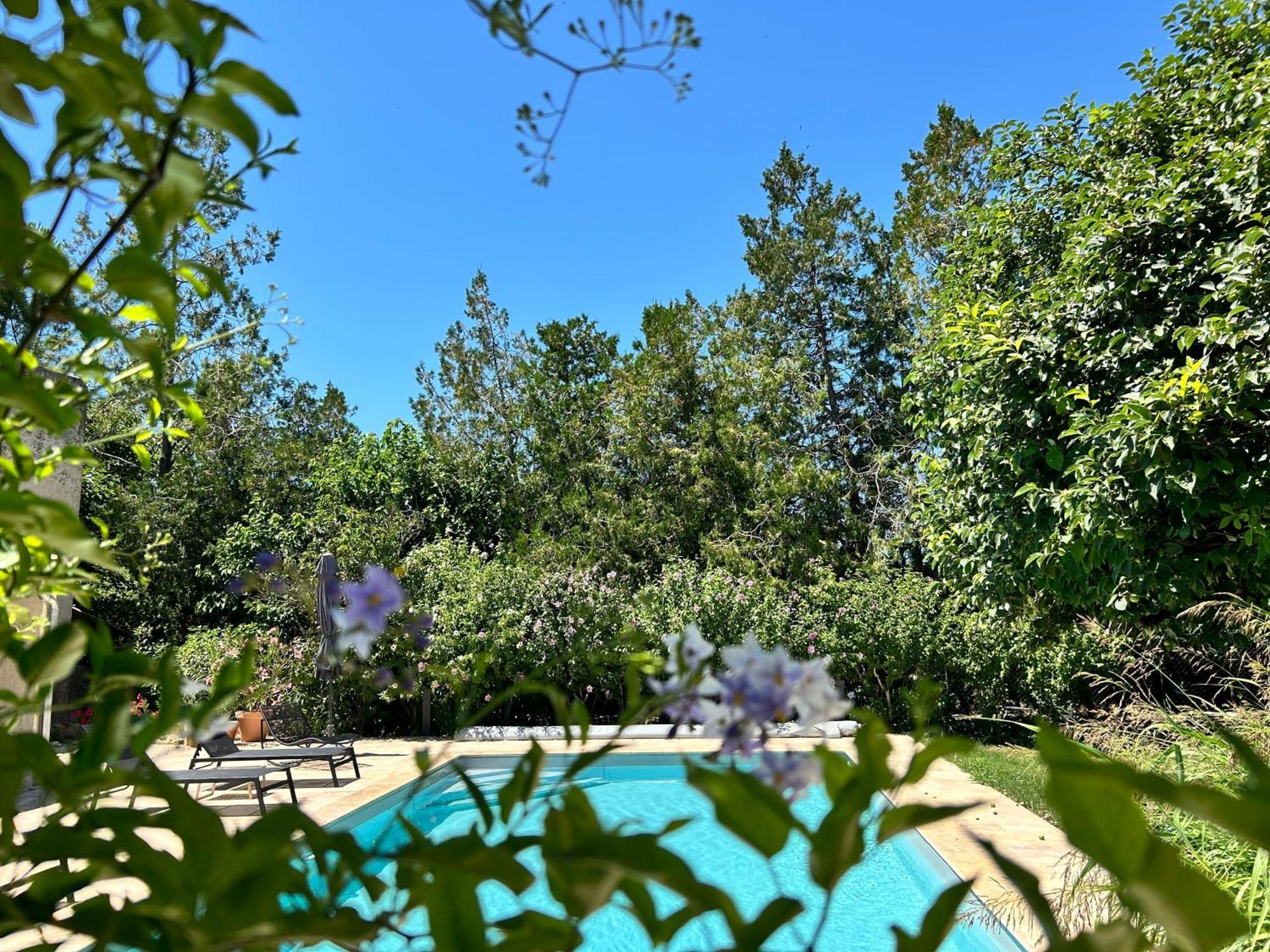 Provenzalisches Landhaus Les Martinets Am Fusse Des Mont Ventoux Villes-sur-Auzon Exteriör bild